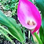 Sa Mariposa Panzió Muravera