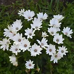 Sa Mariposa Panzió 4*