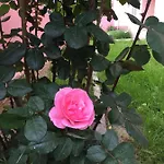 Panzió Sa Mariposa Muravera