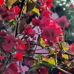 Sa Mariposa 4*