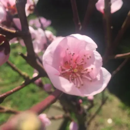 Sa Mariposa Отель типа 