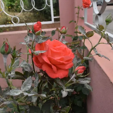 Sa Mariposa Отель типа 