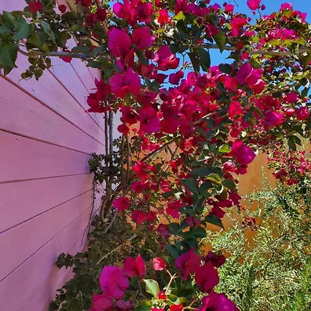 Sa Mariposa Отель типа 