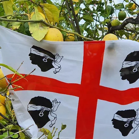 Sa Mariposa Отель типа 