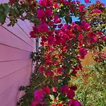 Sa Mariposa Bed and breakfast Muravera