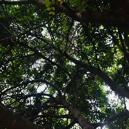 Sa Mariposa Muravera