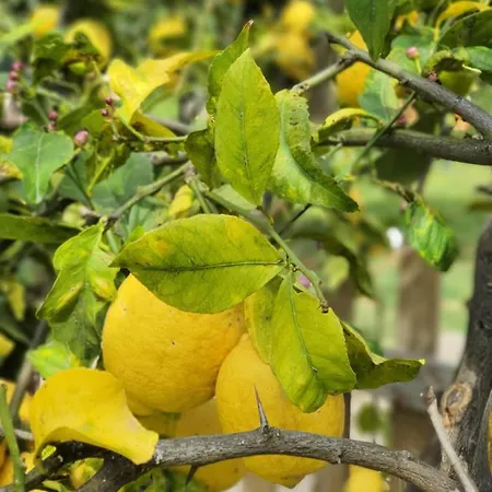 Sa Mariposa ベッド・アンド・ブレックファスト