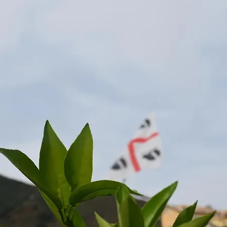 Bed & Breakfast Sa Mariposa *