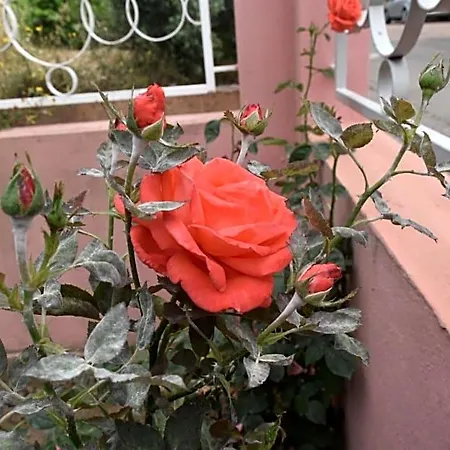 Sa Mariposa 4*