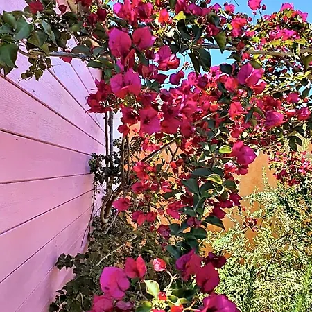 Sa Mariposa فندق مبيت وإفطار مورافيرا