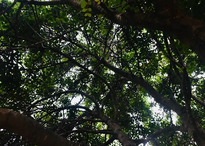 Sa Mariposa Muravera